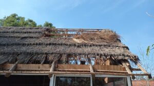 Lee más sobre el artículo Recomendaciones para evitar la obesidad.(2da parte). Por David Sznajderhaus